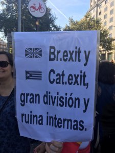 Brexit and Catexit